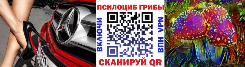 Псилоцибиновые грибы Cubensis  Сухиничи 