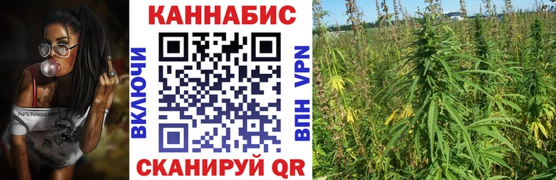 закладки  Сухиничи  Шишки марихуана семена 